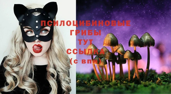 тгк Козельск
