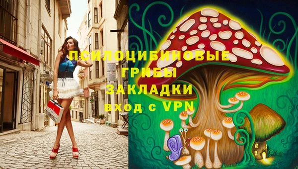 тгк Козельск